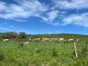 Top Saint-Chély-dʼAubrac