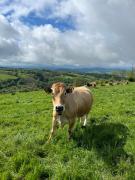 Top Saint-Chély-dʼAubrac