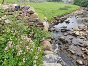 Top Horton in Ribblesdale