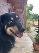 Room in Casa Castiglia a Woodhouse with Beautiful View close Madonie Park