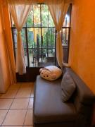 Top San Miguel de Allende