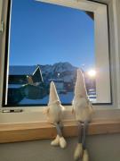 Top Mittelberg