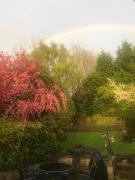 Beautiful, Large Home in a quiet conservation area