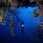 SIRUS Resort Tagulandang