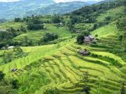Top Hà Giang