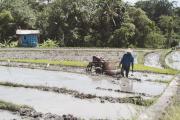 Top Tumbak Bayuh