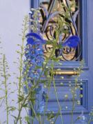 Top Luz-Saint-Sauveur