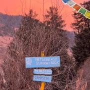 Top Barot