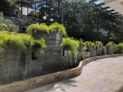 The Plaza Lodge Baguio