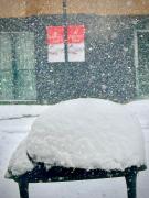 Pilot club rooms block1 NewGudauri 723