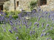 Top San Donato in Poggio