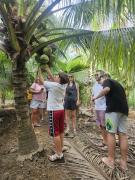 Top Ấp Thành Hòa