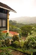 Top Vagamon