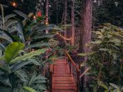 Top Bocas del Toro