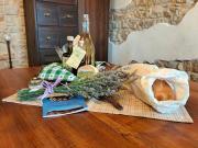 Top Penna San Giovanni