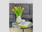 Top Wenkendorf auf Fehmarn