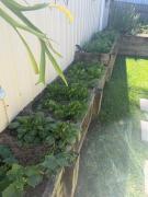 Top Ulladulla