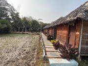 Top New Hampi