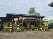 J Novotny Transient House