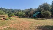 Top Candolim