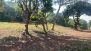 Top Candolim