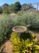 Baan Klang Khao Mountain Viewบ้านกลางเขา เมาเทนวิว