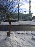 Апартаменти біля стадіону Ворскла