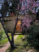 Ouma se Plaashuis - Martine se kamer