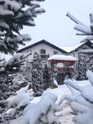 Vila Alpina Maramureș