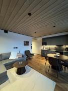 Great new apartment near the center of Levi