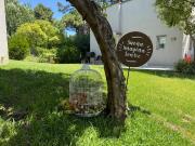 Aine Valeria Del Mar