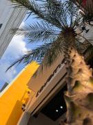 Laverne Boutique - 03 Huỳnh Khương Ninh