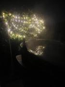 Secret & Secluded Sedlescombe