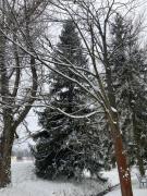 APARTMÁNOVÝ DOM U IVKY Bešeňová štúdiá