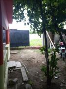 Cabeza De Toro, Locales