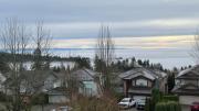 Top Coquitlam Top Coquitlam