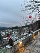 ΤΟ ΑΡΧΟΝΤΙΚΟ