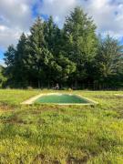 Cabañas Ruta Lacustre