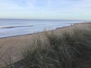 Top Bacton