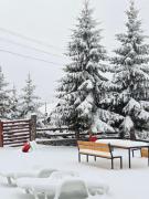 Top Radaljica