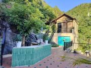 Catba Garden Camellia