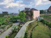 Tulip Guest House & Cafe