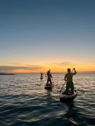 Bliss Driftwood Retreat By Mandala