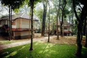 Top Thekkady