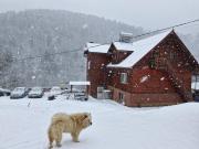 Pensiunea Cabana Viselor ,Apuseni