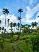 Crystal Paradise Resort Spa & Winery