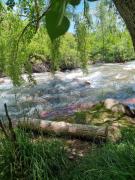 Top El manzano historico