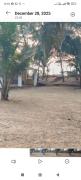 Top Malvan