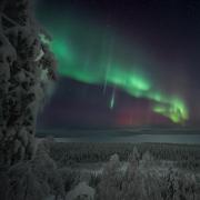 Coloria - kotisi Rovaniemellä, luonnollisesti