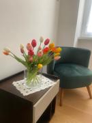 Appartamento Villa Ada